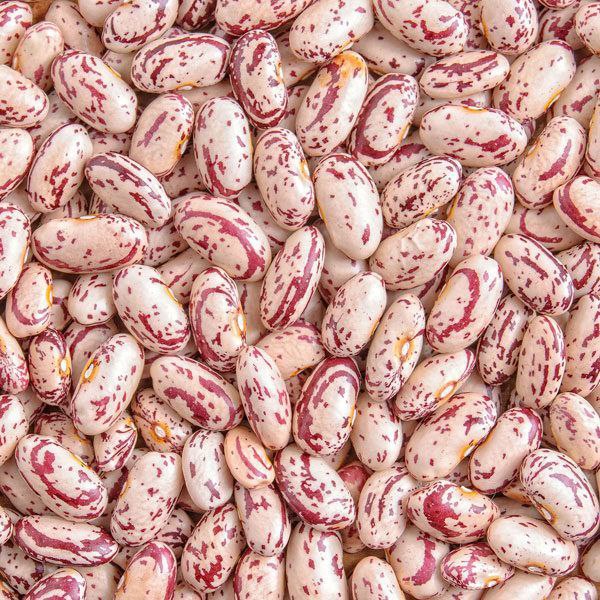 Red speckled bean